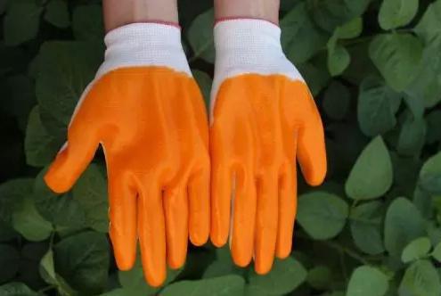 1530673197140929.jpg 圖片8.jpg